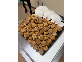 崎陽軒 横浜工場見学