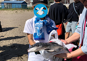 三浦海岸　地引網体験