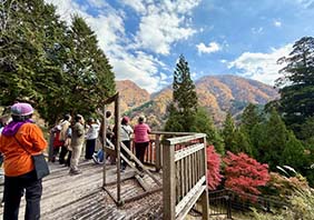 森林ウォーク＆森林セラピー