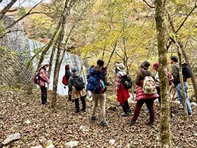 森林ウォーク＆森林セラピー