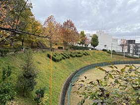 ハマふれんどソフトボール大会